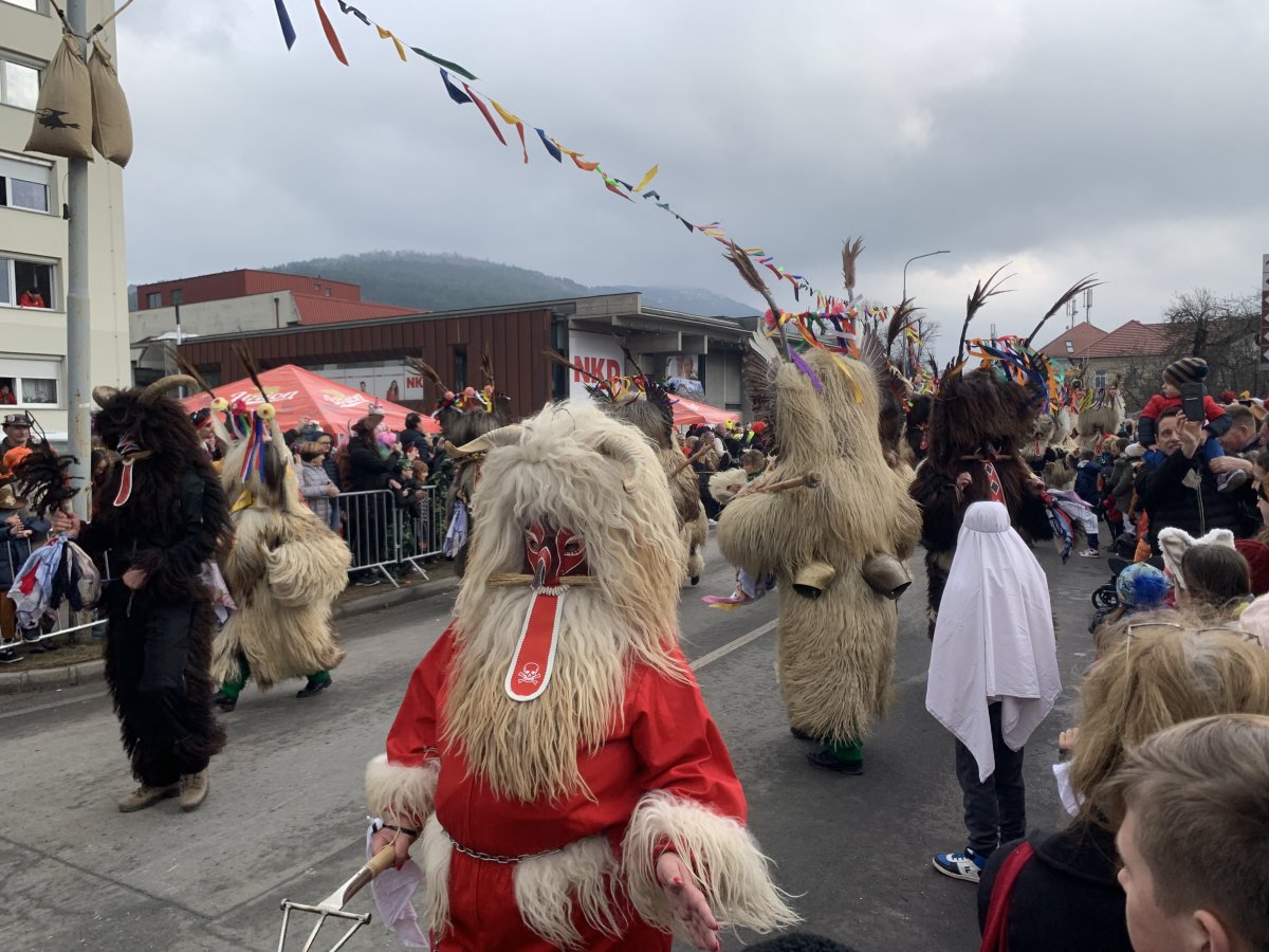 Total chaos as the Kurenti jiggle past in Cerknica..