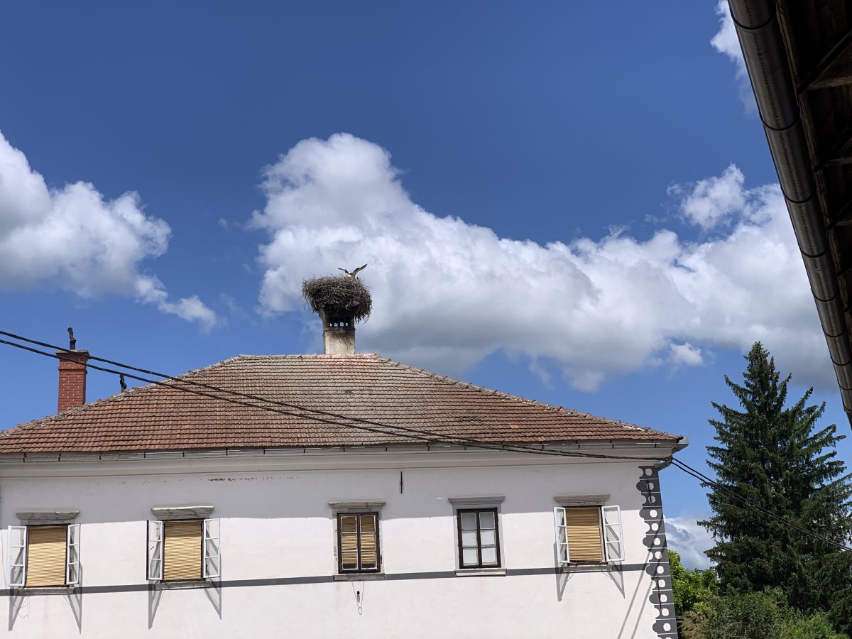 Look out for the many chunky Stork nests on top of chimney stacks all over Green Slovenia.. Look out for the many chunky Stork nests on top of chimney stacks all over Green Slovenia..