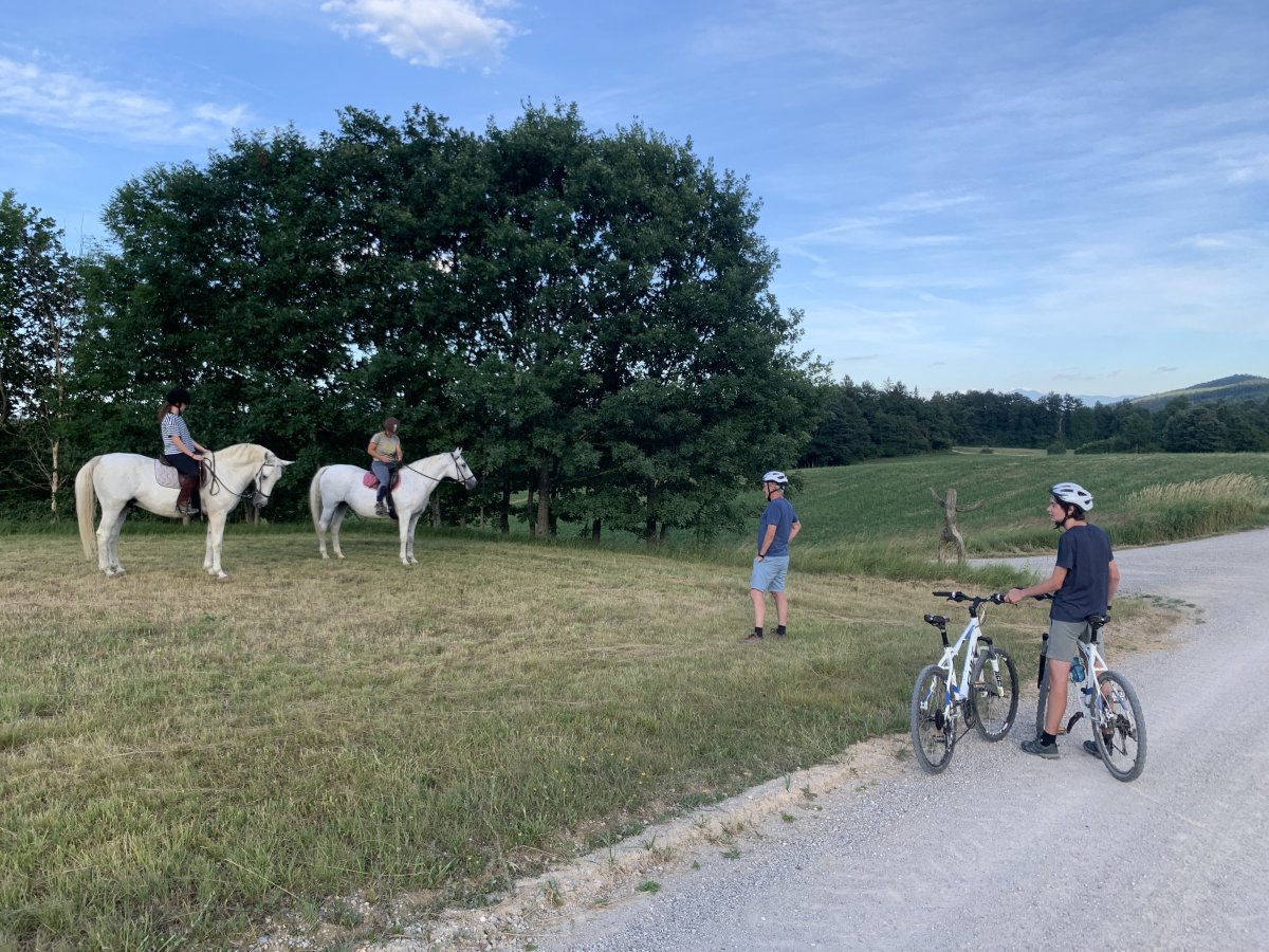 Mix a bike ride with a Lipizzaner ride in the Green Karst.. Mix a bike ride with a Lipizzaner ride in the Green Karst..