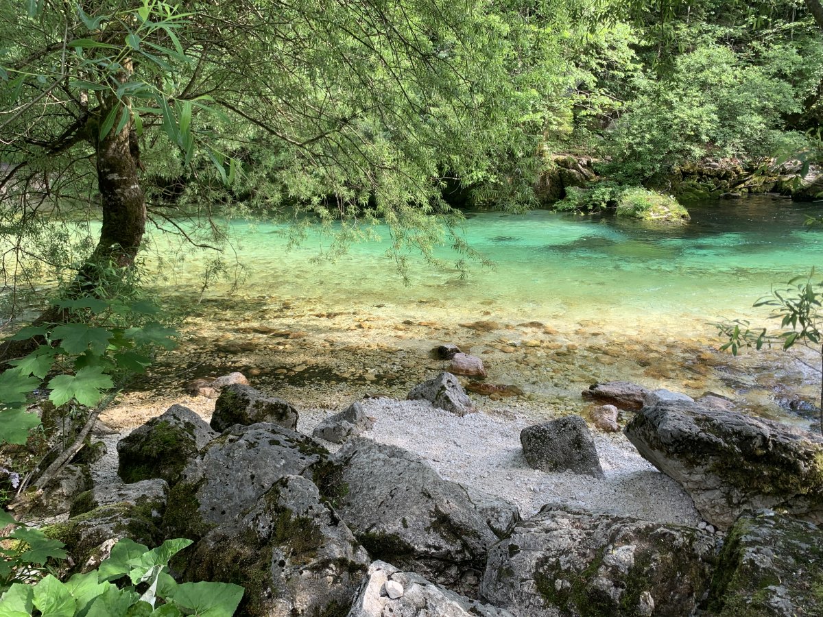 SENSE Slovenia