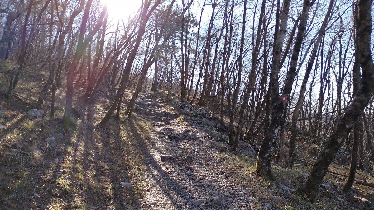 the Slavnik Hill hike.. the Slavnik Hill hike..
