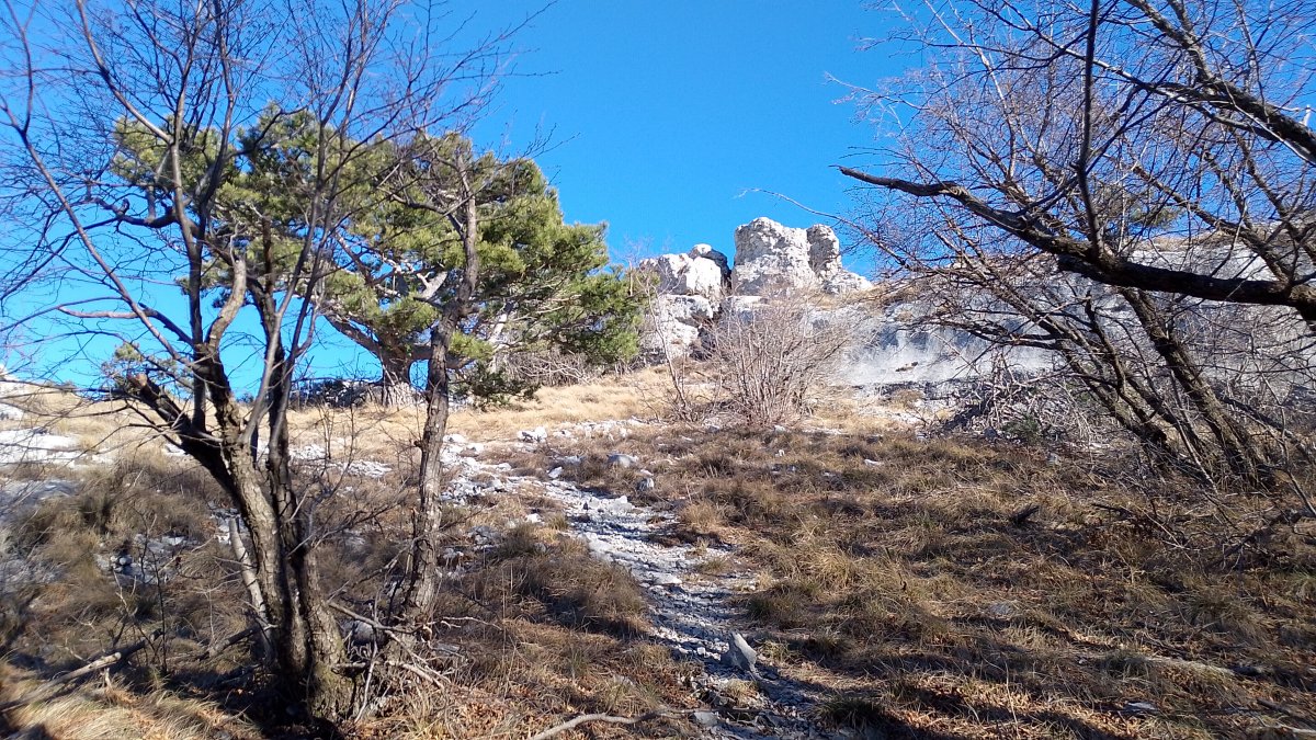 When you spot this rock outcrop it becomes a magnet to scramble up and see the view.. When you spot this rock outcrop it becomes a magnet to scramble up and see the view..