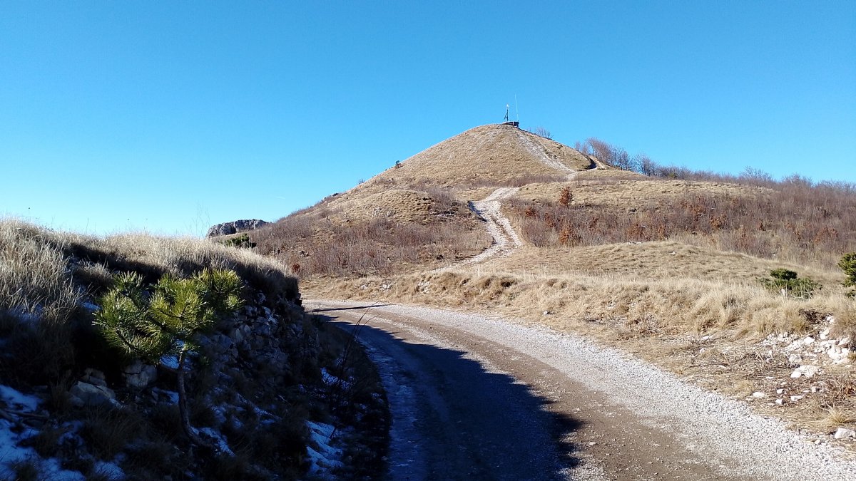 This is where you finally pop out of the forest and we suggest you go see the peak and then hike back on this road down.. This is where you finally pop out of the forest and we suggest you go see the peak and then hike back on this road down..