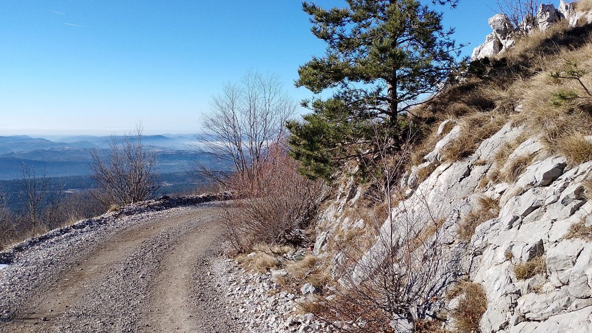 Make sure you come down this road for amazing views over the Coastal Hinterland.. Make sure you come down this road for amazing views over the Coastal Hinterland..