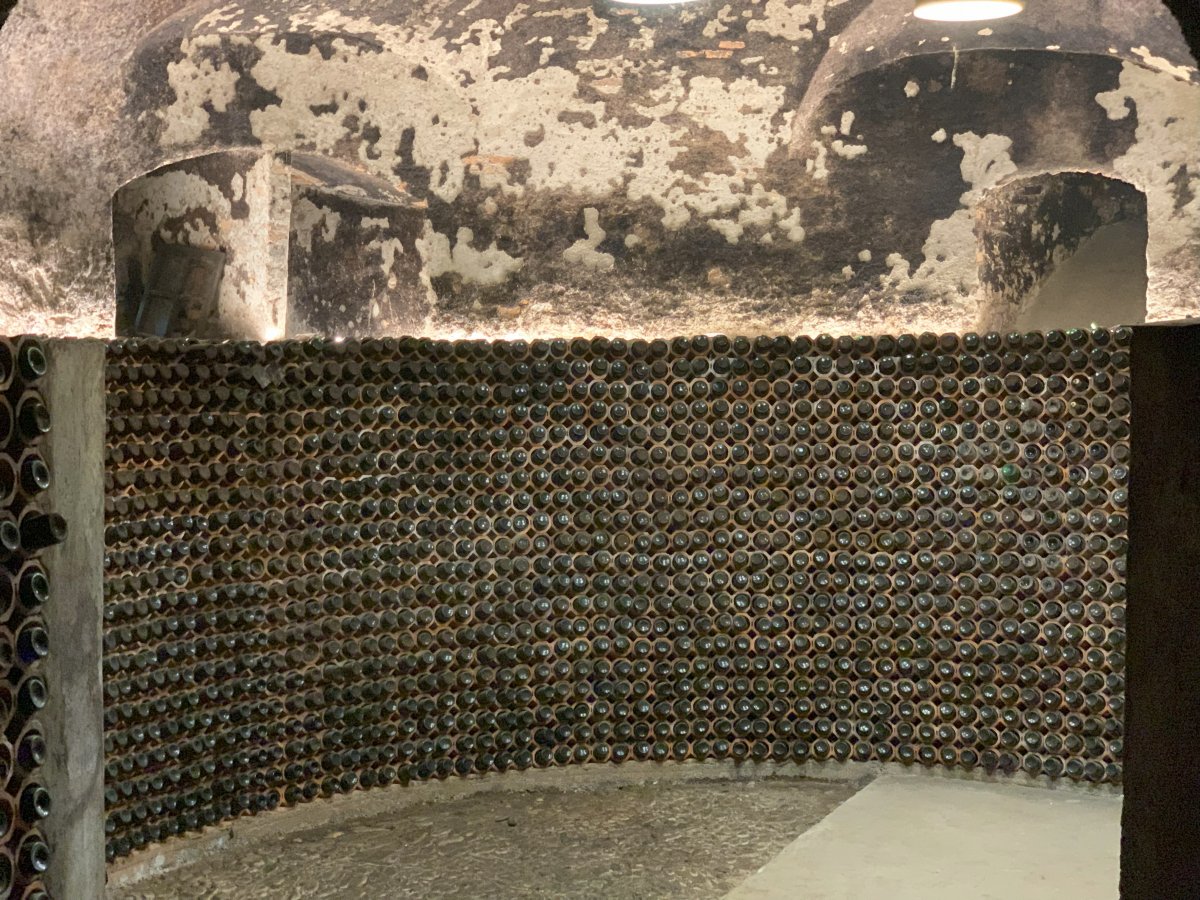 Make sure you go have a look at the enormous castle cellar.. Make sure you go have a look at the enormous castle cellar..