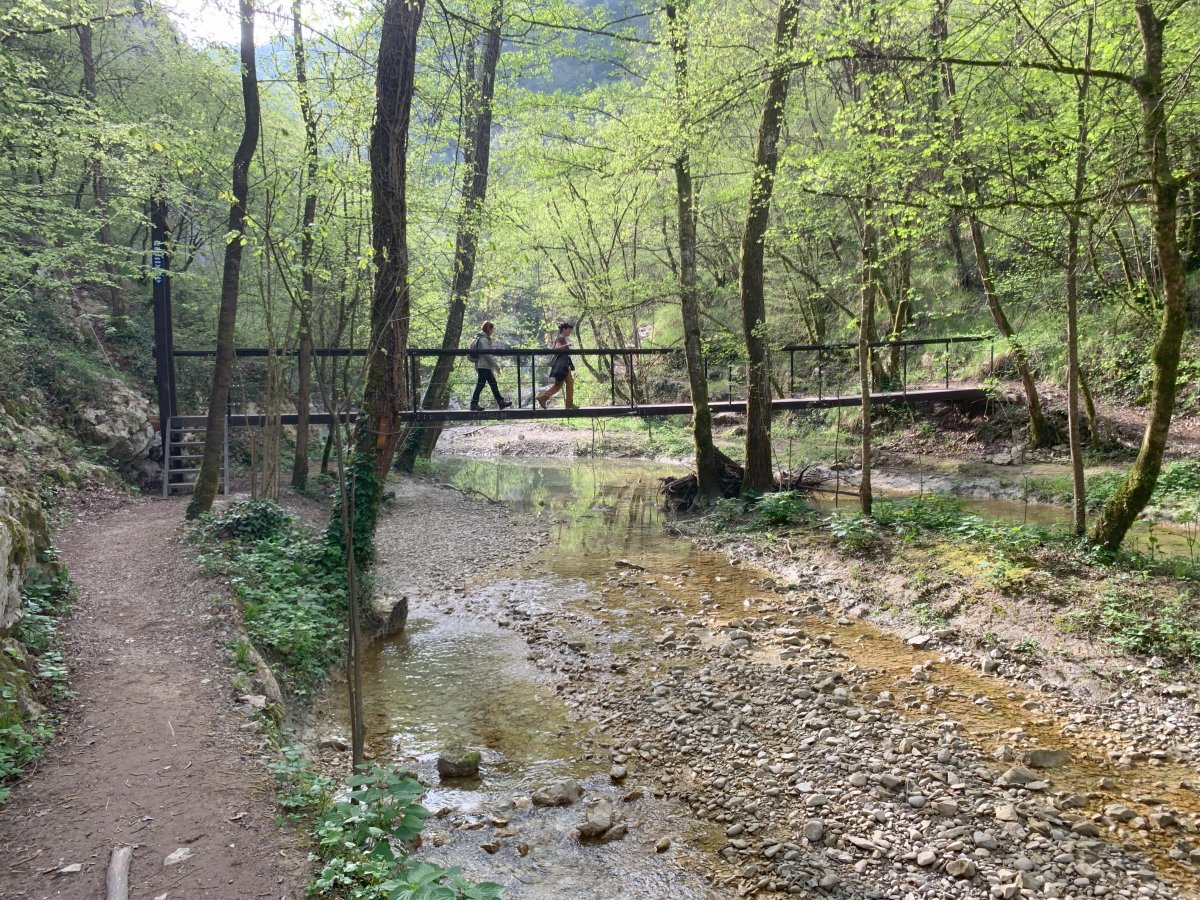 Starting the Gorge hike, this is now the Draga river.. Starting the Gorge hike, this is now the Draga river..