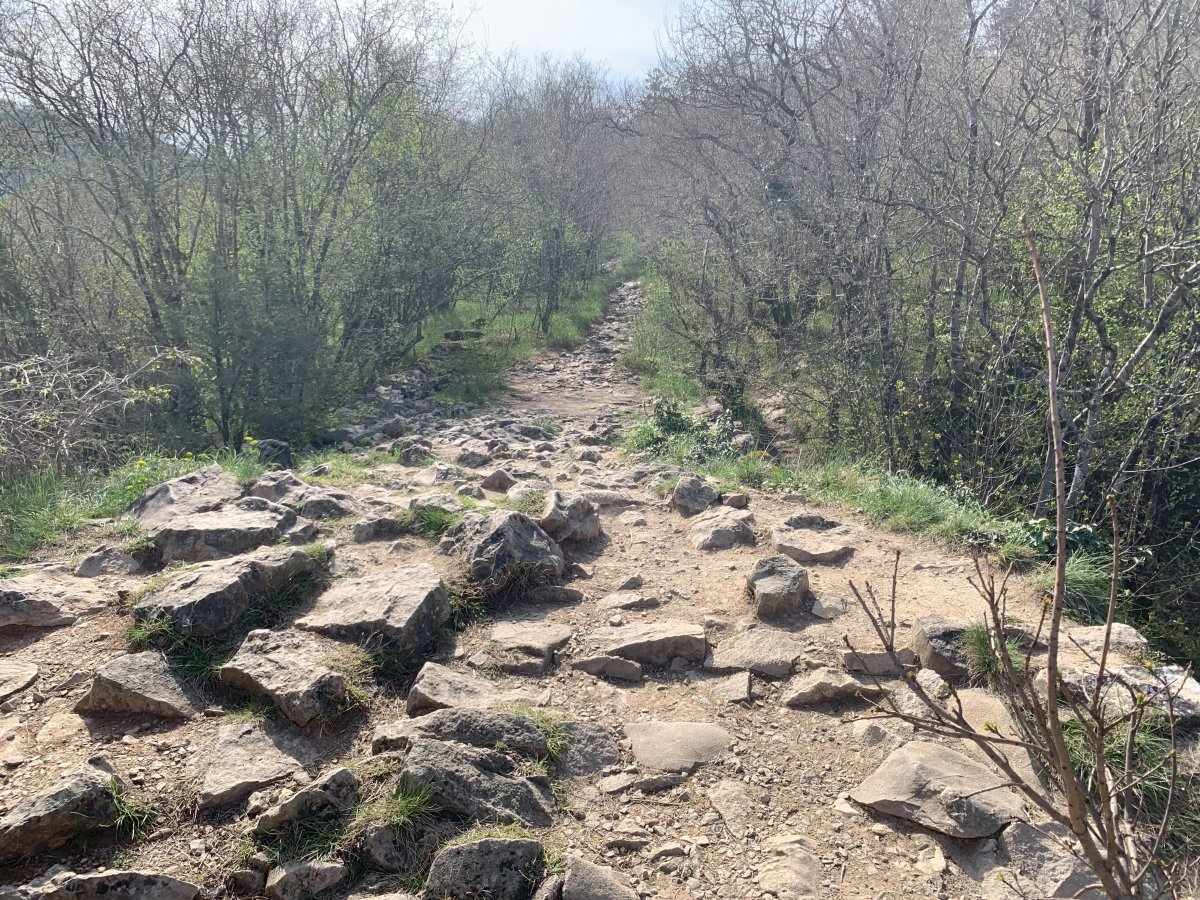 On top of the Napoleon bridge, the path ahead is clear.. On top of the Napoleon bridge, the path ahead is clear..