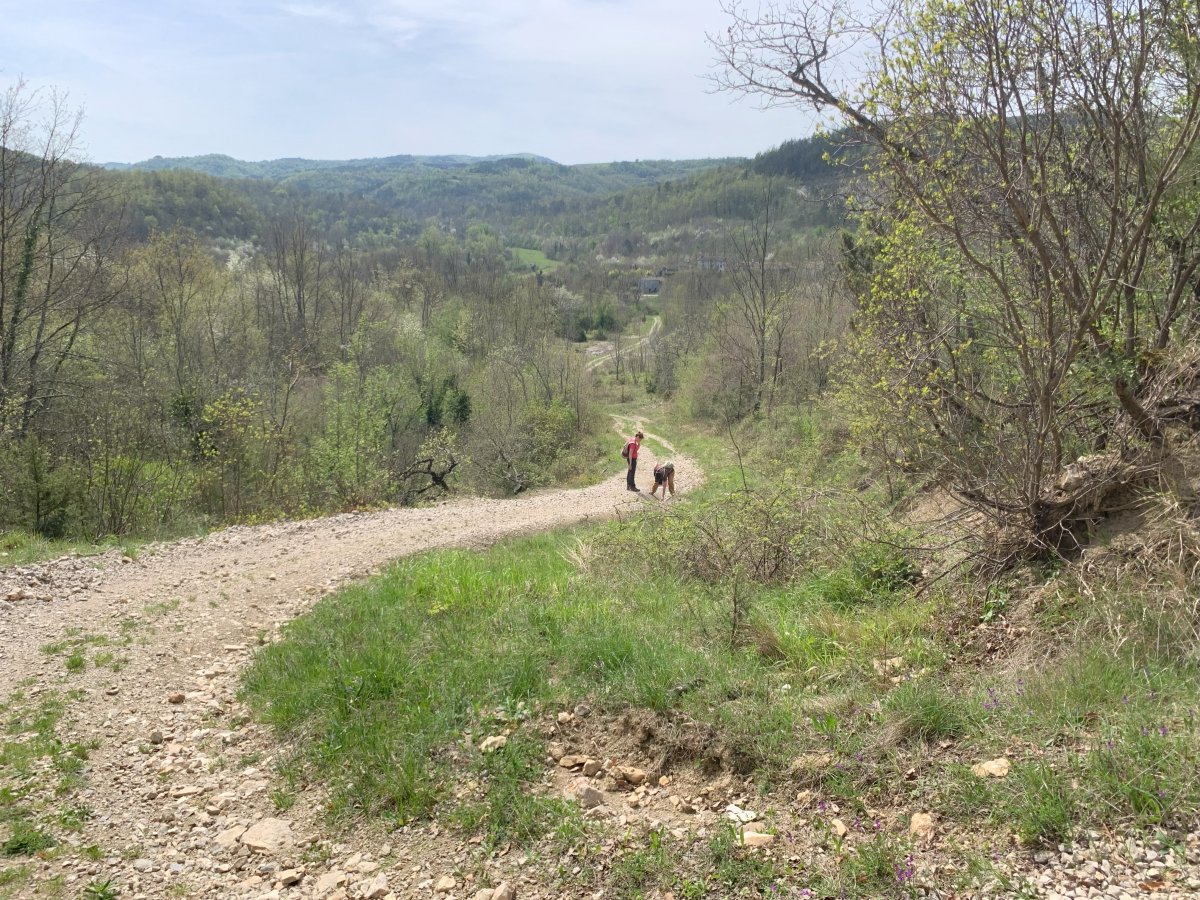 Hiking down to the riverside village of Kotli to rejoin the Mirna river.. Hiking down to the riverside village of Kotli to rejoin the Mirna river..
