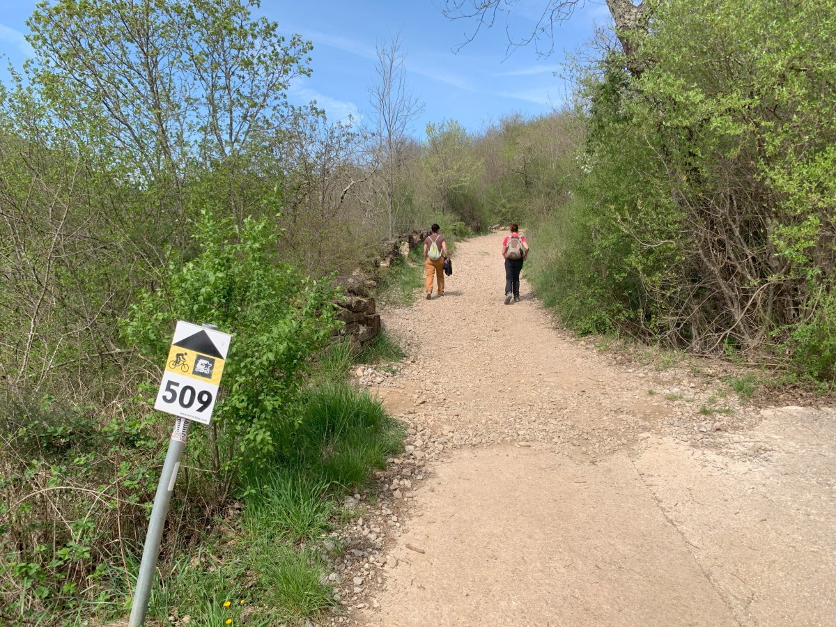 Follow the 509 wherever you can.. Follow the 509 wherever you can..