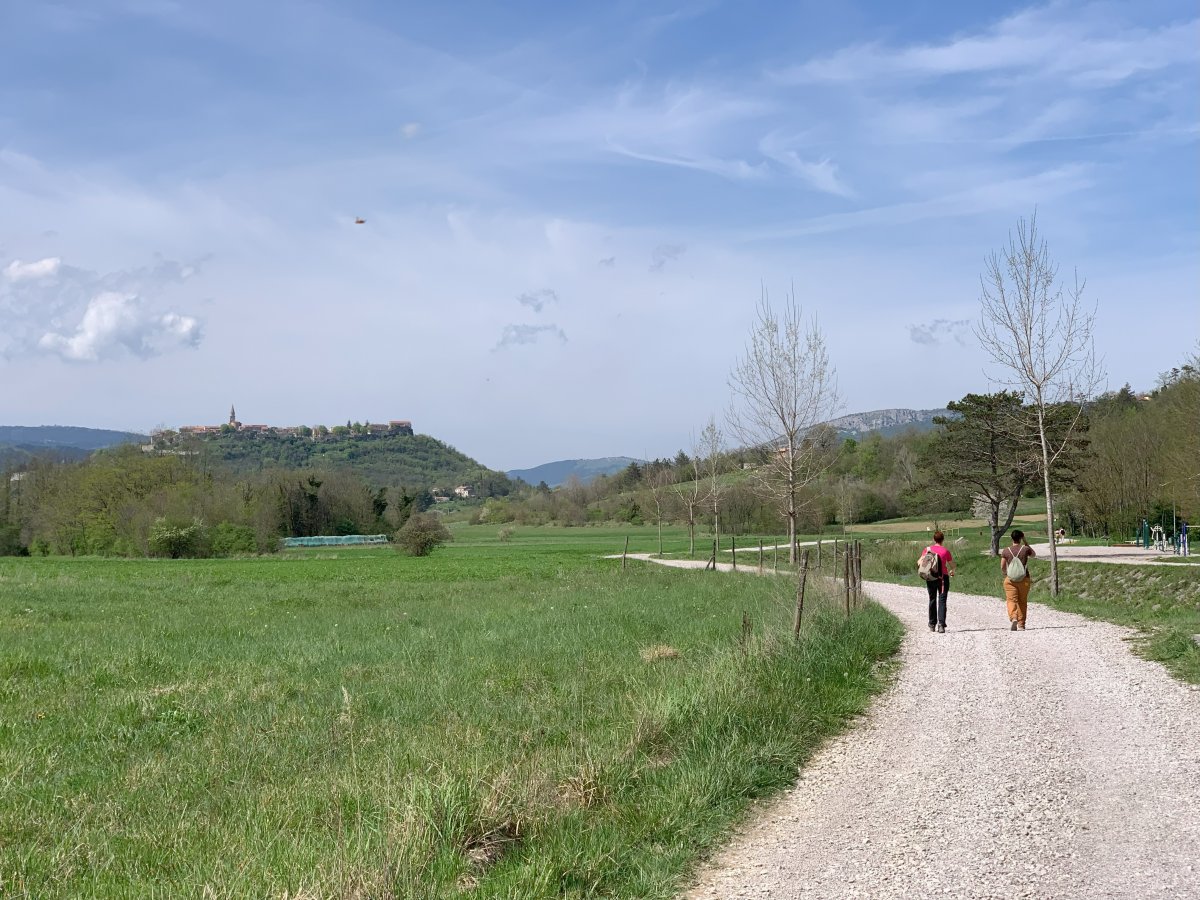 Almost back at the parking spot with Buzet hill top village now appearing enticingly closer.. Almost back at the parking spot with Buzet hill top village now appearing enticingly closer..