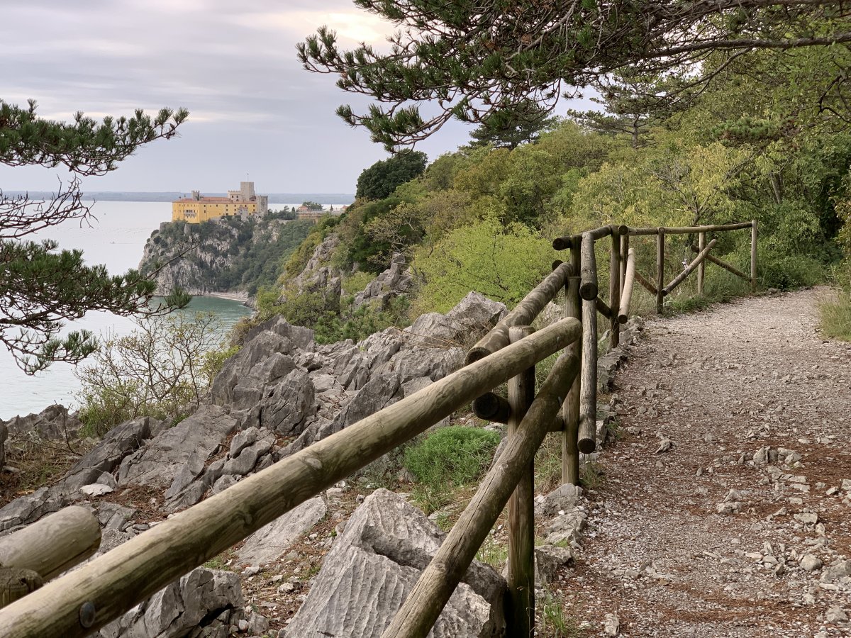 Stunning view from the cliff path walk back to the castle..