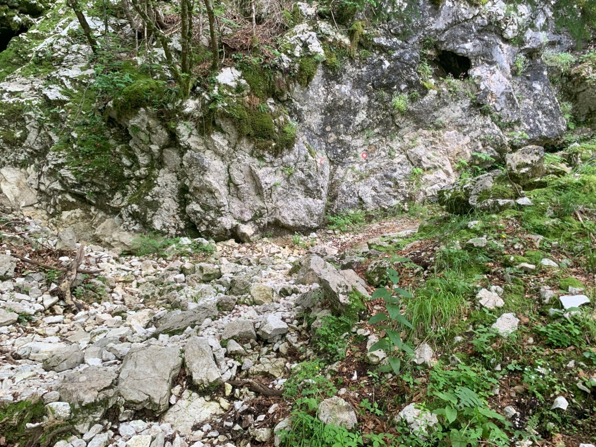 Can you see the red circle marking the path.. Can you see the red circle marking the path..