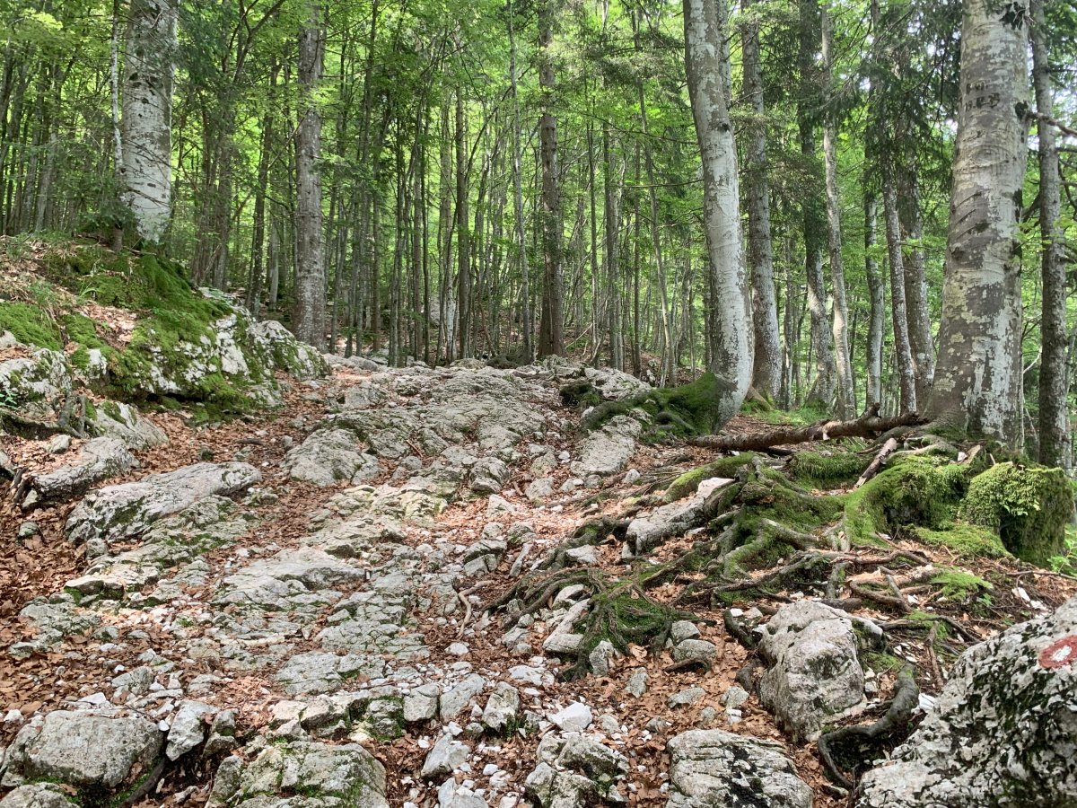 This is your path.. This is your path..