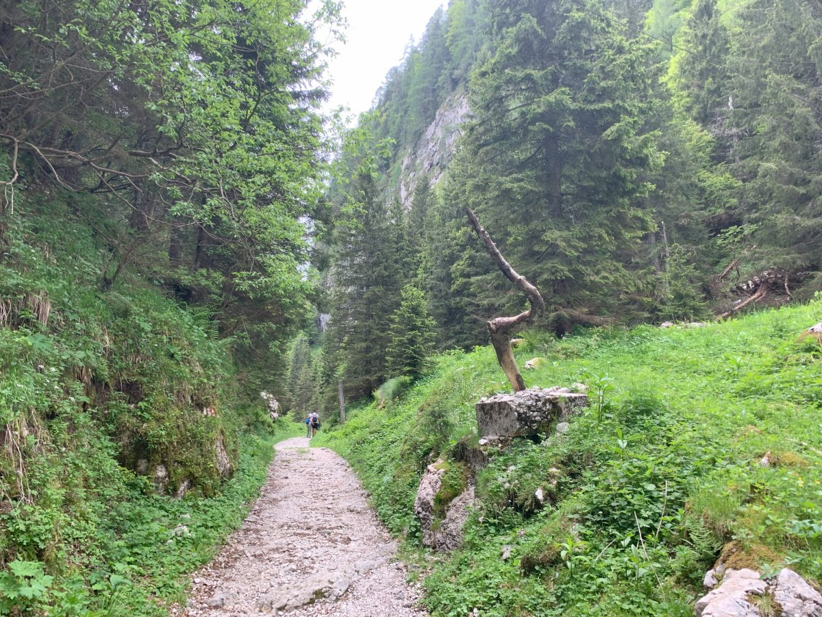 Route through from the cable car station on the way to the mountain hut.. Route through from the cable car station on the way to the mountain hut..