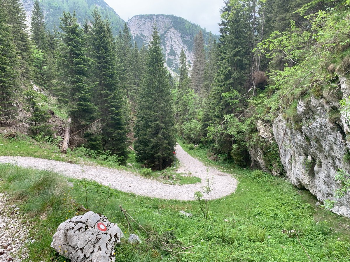 Hiking in Green Slovenia, Baby.. Hiking in Green Slovenia, Baby..