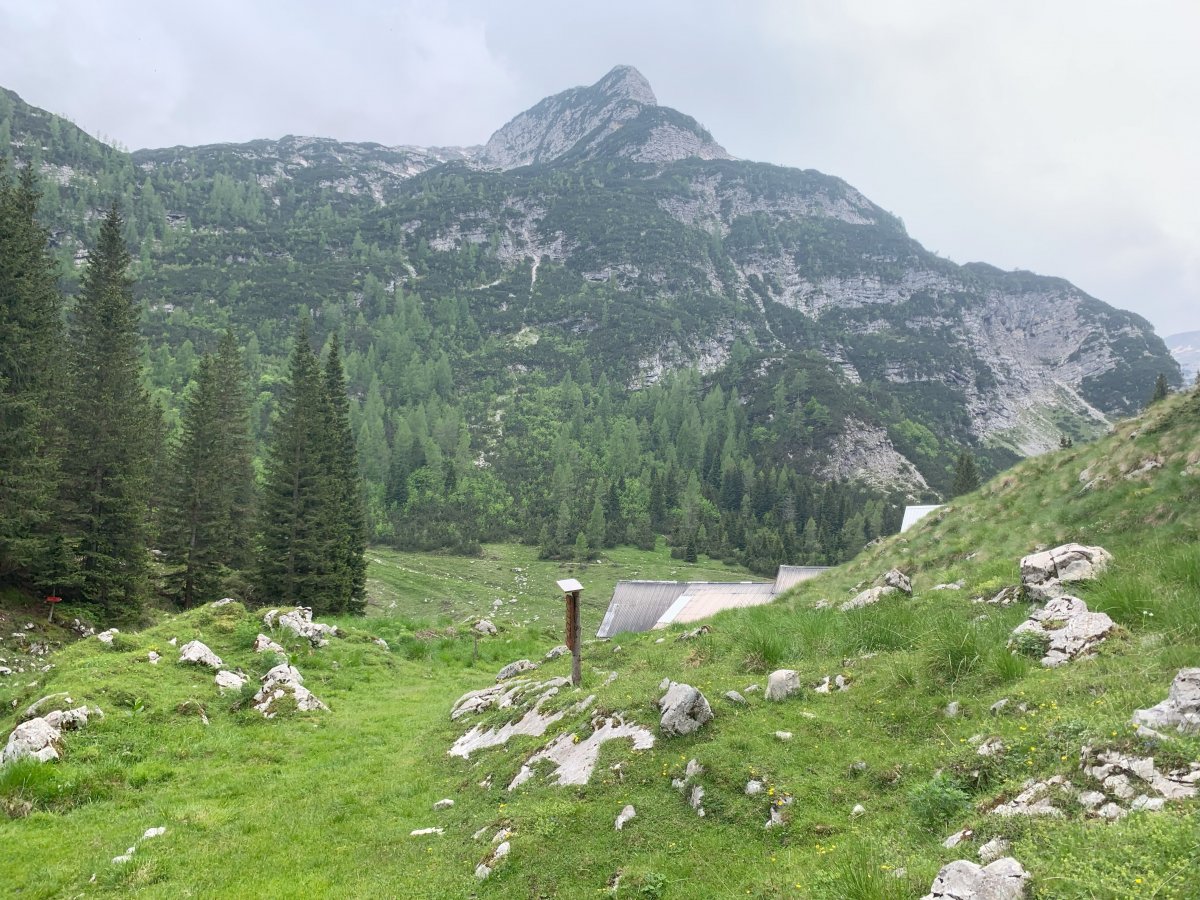 much flatter hiking when you reach the top of the mountain.. much flatter hiking when you reach the top of the mountain..