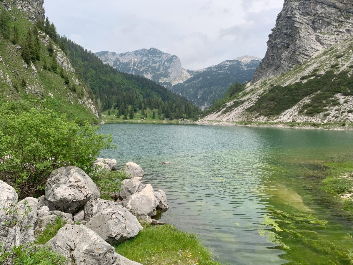 view back to the start of the lake.. view back to the start of the lake..