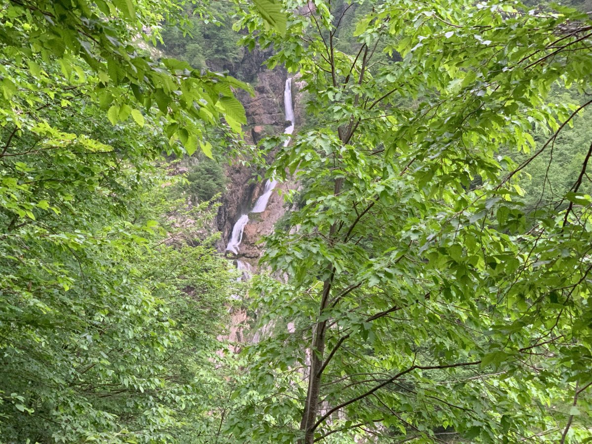 You only get a glimpse of the Lepena waterfall.. You only get a glimpse of the Lepena waterfall..