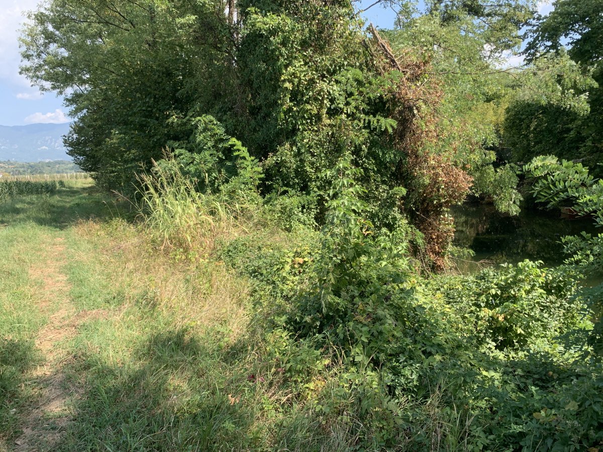 This is a green adventure, with a green path next to the river.. This is a green adventure, with a green path next to the river..