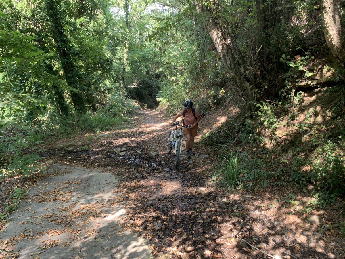 Look at the gradient of this hill, we decided to push up, even an E bike would have struggled with this one.. Look at the gradient of this hill, we decided to push up, even an E bike would have struggled with this one..