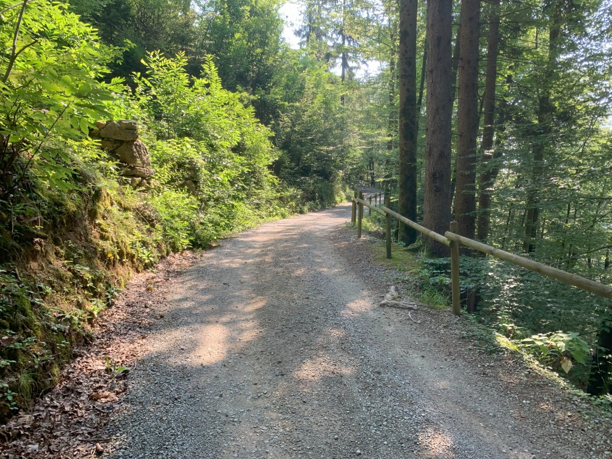 the final uphill stretch to the castle and narrow, so much better to walk up here and leave the car in the car park below.. the final uphill stretch to the castle and narrow, so much better to walk up here and leave the car in the car park below..