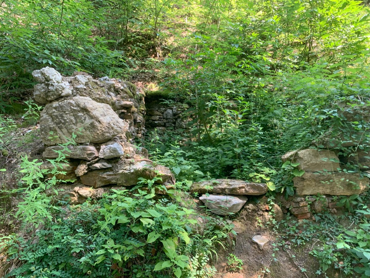 The first castle gate is hidden away in the leaves now.. The first castle gate is hidden away in the leaves now..