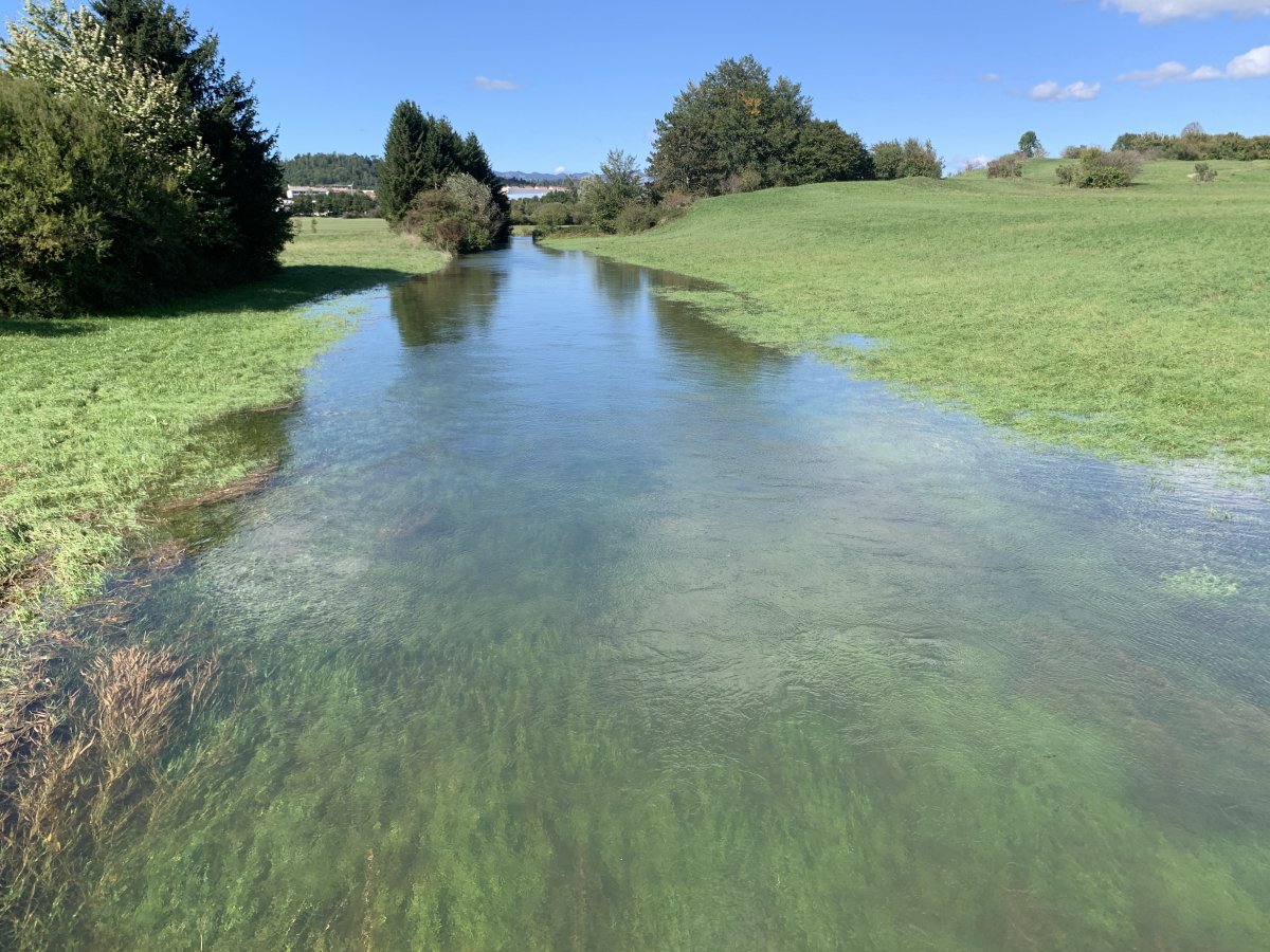 This amazing Green Karst river connects all the 17 lakes.. This amazing Green Karst river connects all the 17 lakes..