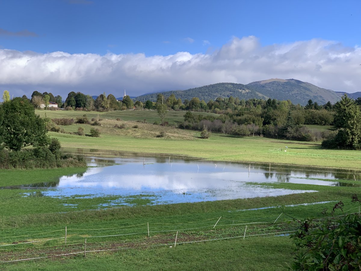 It doesn't seem much when compared to its neighbours, but we were so excited to see the Klenik Disappearing lake appear.. It doesn't seem much when compared to its neighbours, but we were so excited to see the Klenik Disappearing lake appear..