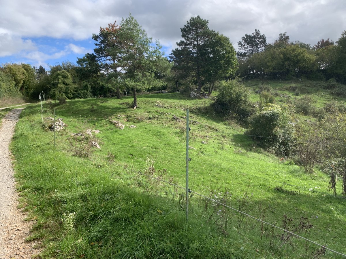 Biking through the Green Karst.. Biking through the Green Karst..