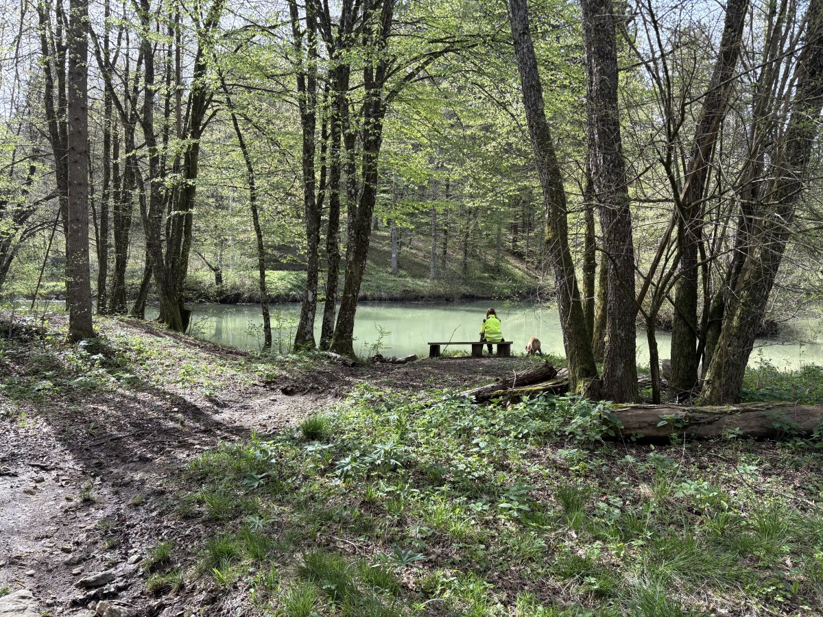 We found a little lake hidden away in the forest..