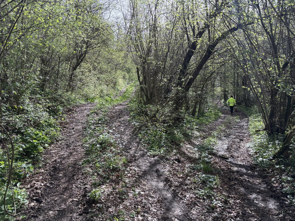 We know to go right here cos we have done this walk before, but would you know?