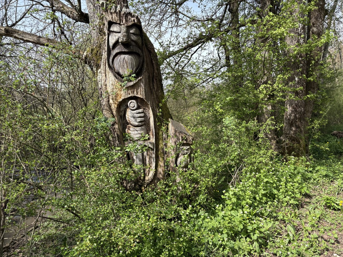 a Spring Stroll
