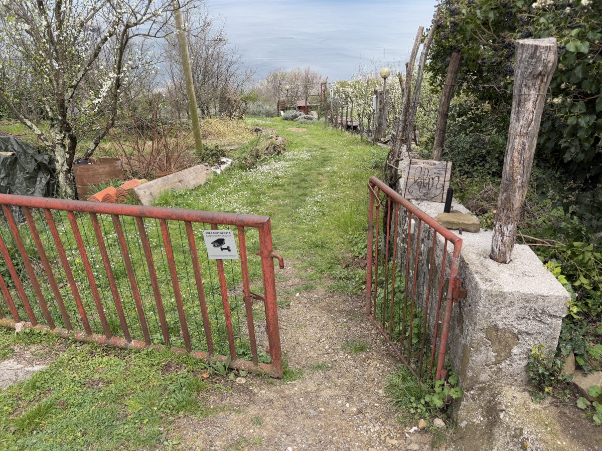Look carefully for the little Klin wooden sign and the Wine Cellar is down the grass track.. Look carefully for the little Klin wooden sign and the Wine Cellar is down the grass track..