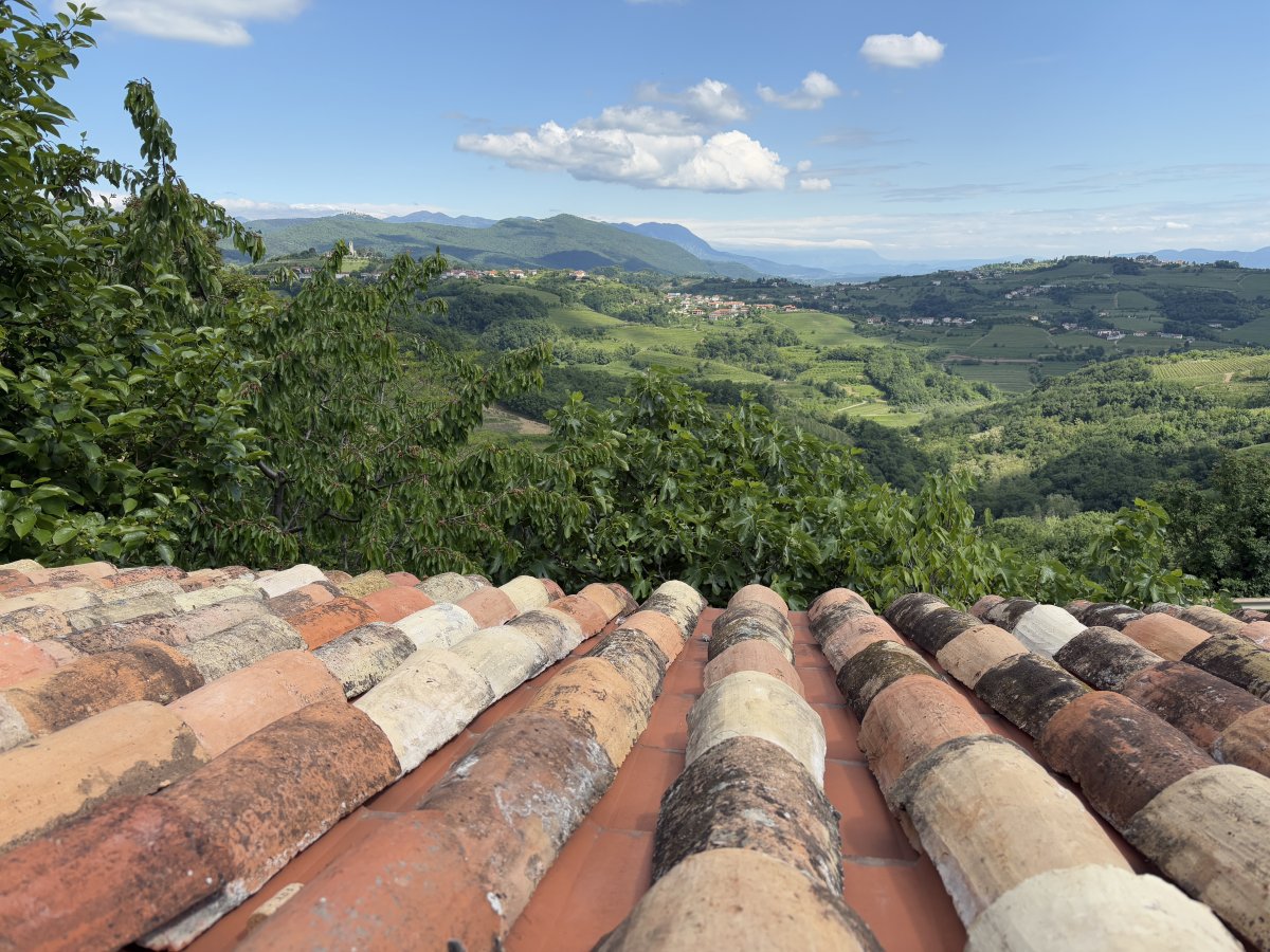 2 Wine Regions in ONE Daytrip!