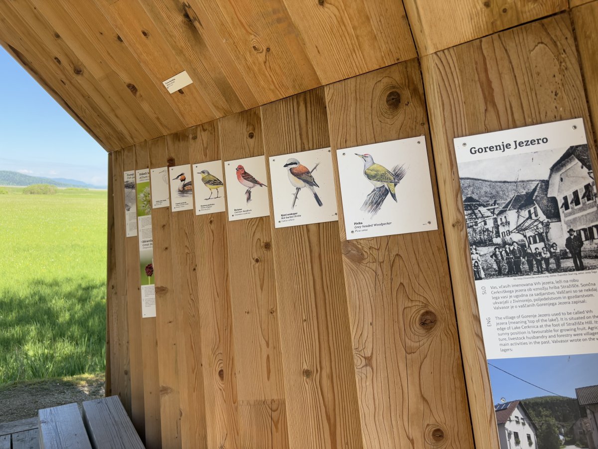 Cerknica lake is home to more than 50% of all European bird species..