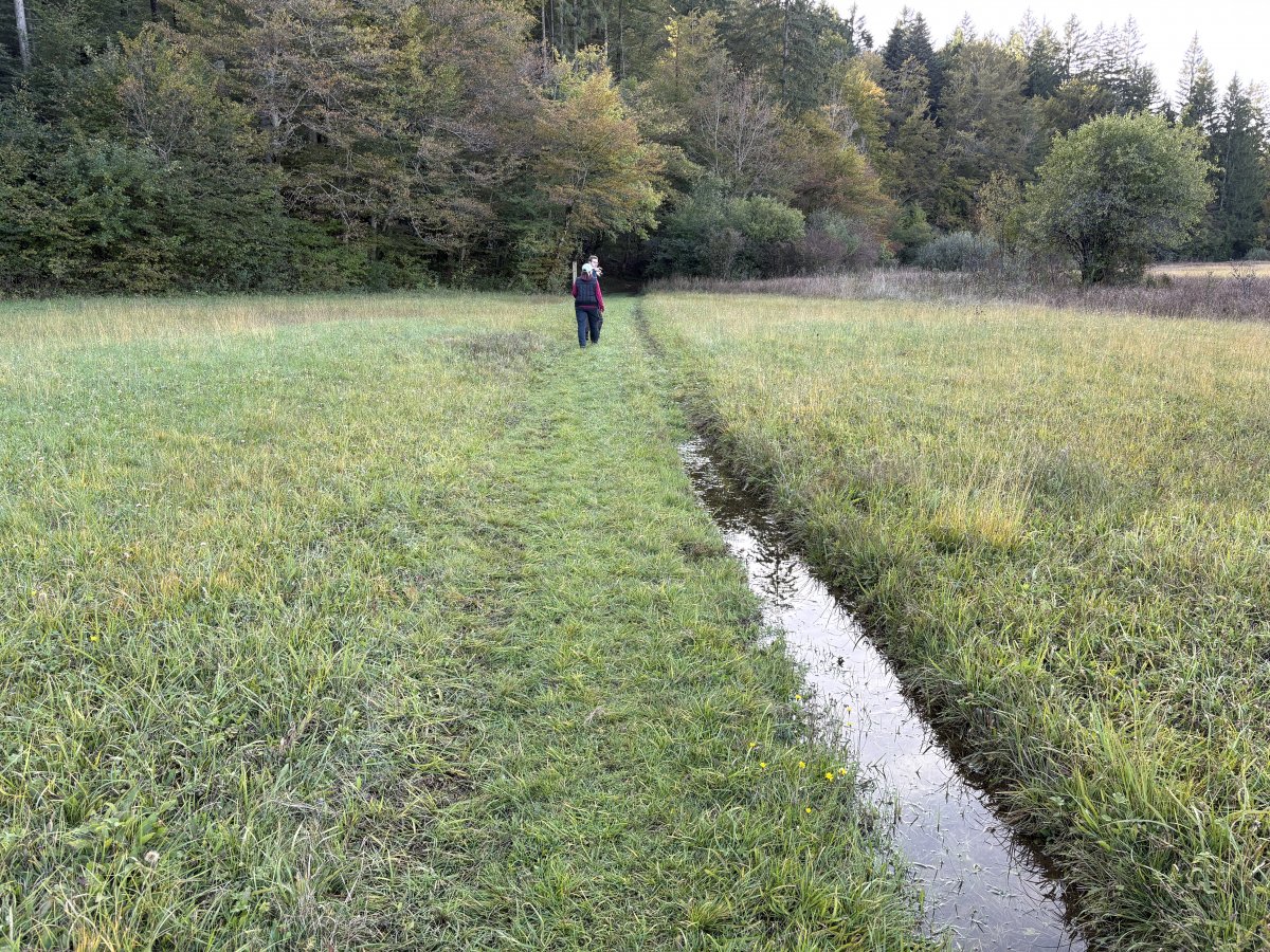 The meadow path is usually passable with care and watch out for frogs..