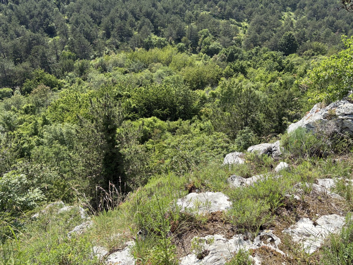 Slovenia is just so wonderful you can see the change in scenery and geology right in front of your eyes in so many different places.. Slovenia is just so wonderful you can see the change in scenery and geology right in front of your eyes in so many different places..