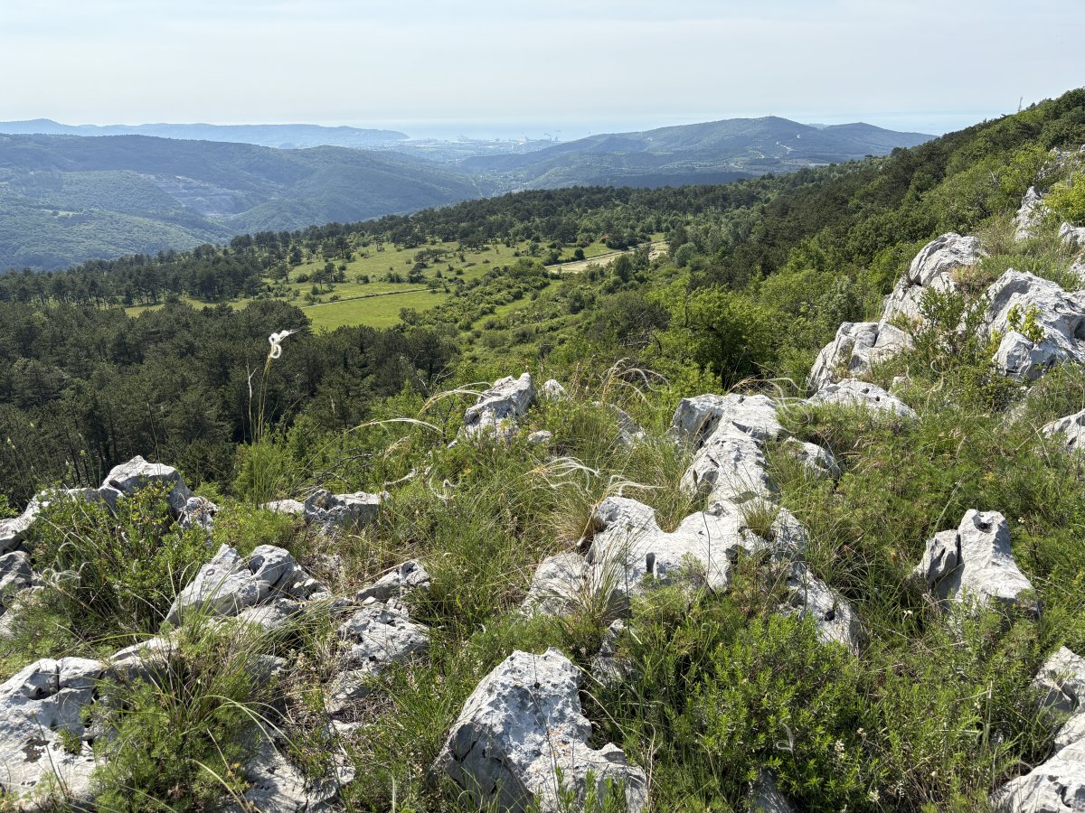 Stunning vista across the coastal Hinterland from on top of the last Karst Cliff to the Adriatic sea.. Stunning vista across the coastal Hinterland from on top of the last Karst Cliff to the Adriatic sea..