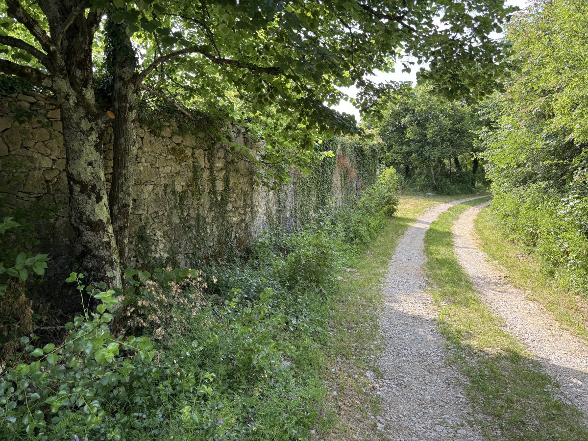 The track leading from Prapoce to the fields of flowers, telegraph poles and direction Italy.. The track leading from Prapoce to the fields of flowers, telegraph poles and direction Italy..