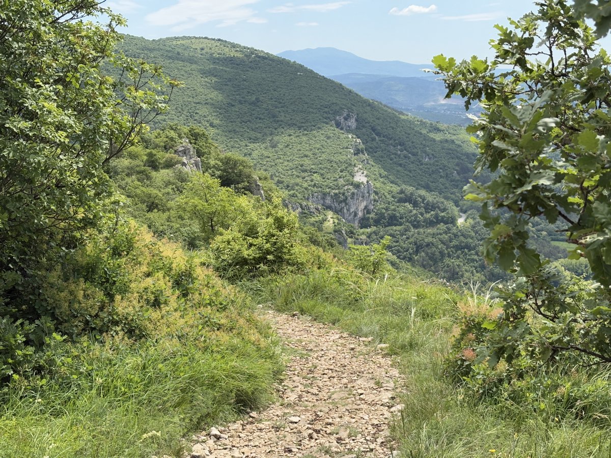 We did not see ONE other hiker the whole 2 hours here in Green paradise on a sunny May afternoon.. We did not see ONE other hiker the whole 2 hours here in Green paradise on a sunny May afternoon..