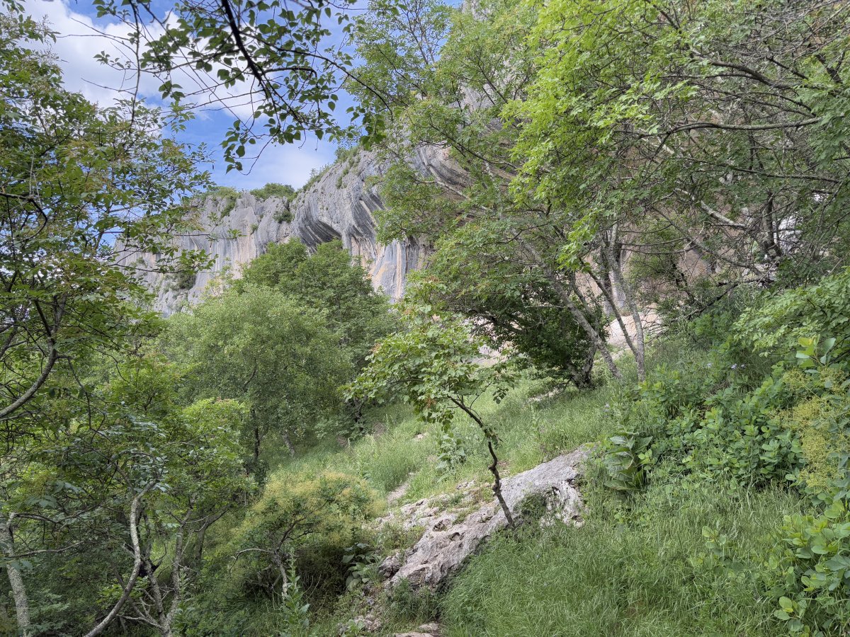Approaching one of the natural Green Wonders of Europe.. Approaching one of the natural Green Wonders of Europe..