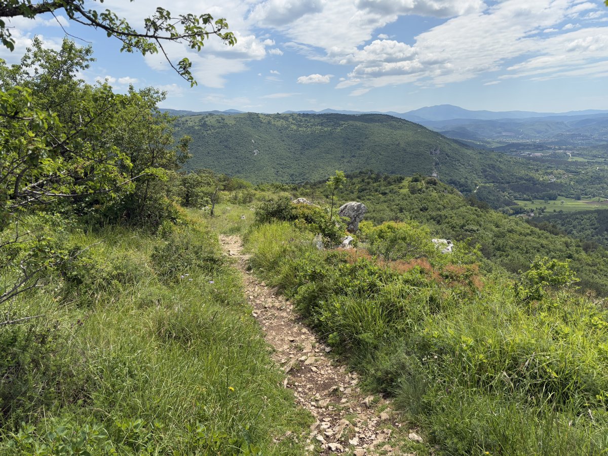 on the trail in the middle of a Green Paradise.. on the trail in the middle of a Green Paradise..