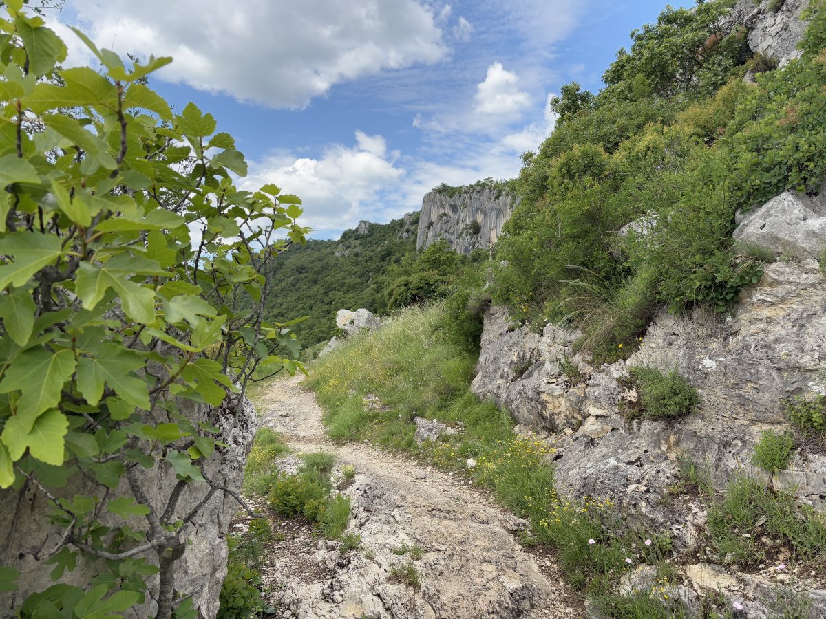 Hike to the ISTRIAN EARS