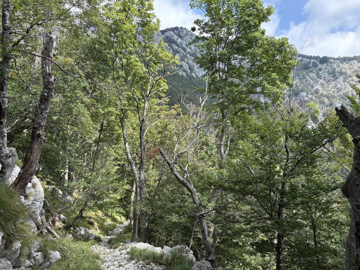 You could be rushing around the museums and crowded cafes by the river in Ljubljana or up here on Nanos in Green Paradise, Slovenia's true Green City.. Your choice.. You could be rushing around the museums and crowded cafes by the river in Ljubljana or up here on Nanos in Green Paradise, Slovenia's true Green City.. Your choice..