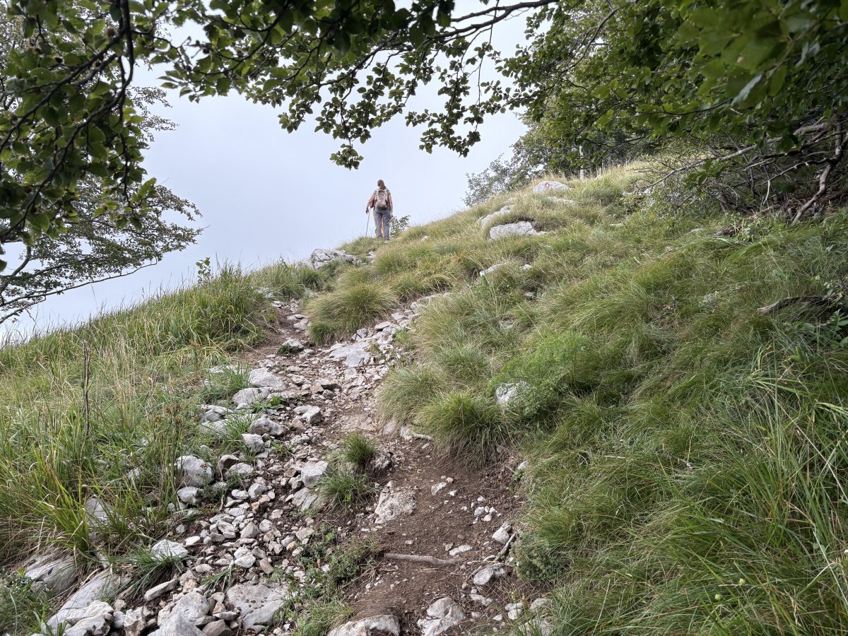At the end of the long stone path up, you do pop out onto the side of Nanos for a little bit, with great views and NOT SCARY.. At the end of the long stone path up, you do pop out onto the side of Nanos for a little bit, with great views and NOT SCARY..