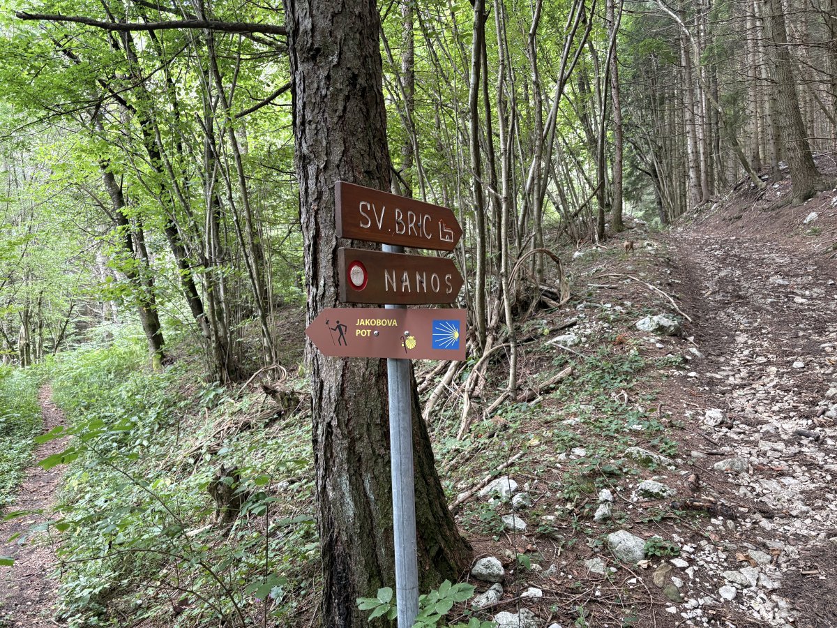 The whole idea of the st James Pilgrim path here is to bypass Nanos, so pilgrims go left and we go up for Nanos. The whole idea of the st James Pilgrim path here is to bypass Nanos, so pilgrims go left and we go up for Nanos.