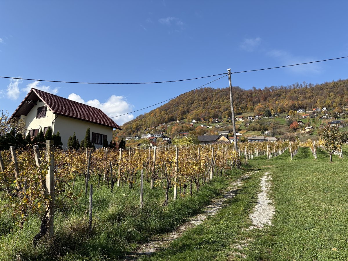 This is a very typical view of an East Slovenian wine region, with little summer wine cottages on the hills and micro vineyards.. This is a very typical view of an East Slovenian wine region, with little summer wine cottages on the hills and micro vineyards..