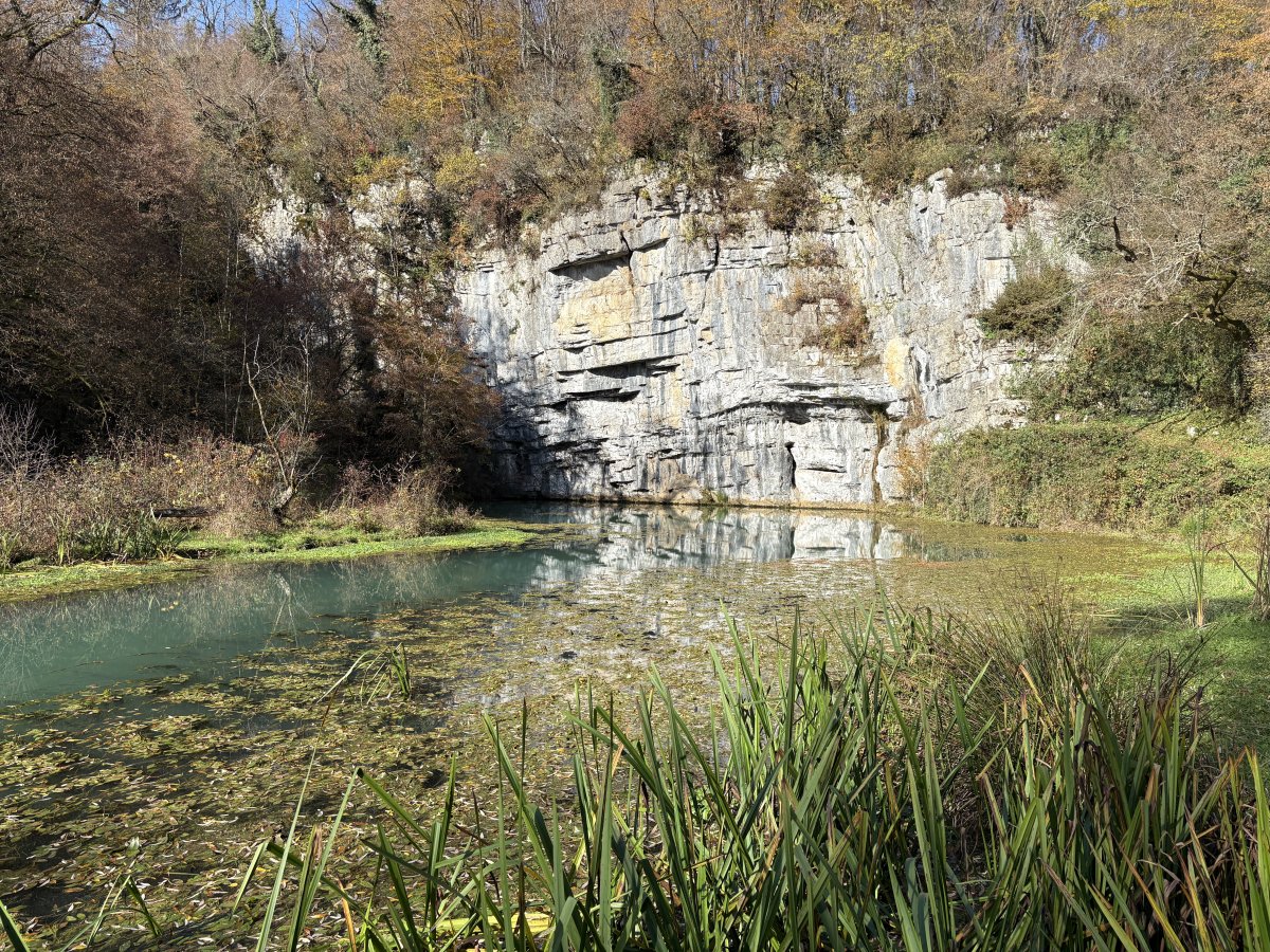 Krupa Springs