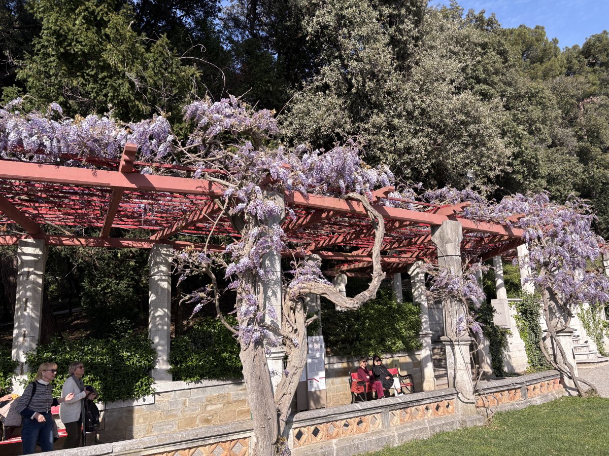 Absolutely stunning lavender wisteria looking pagoda in the gardens.. Absolutely stunning lavender wisteria looking pagoda in the gardens..