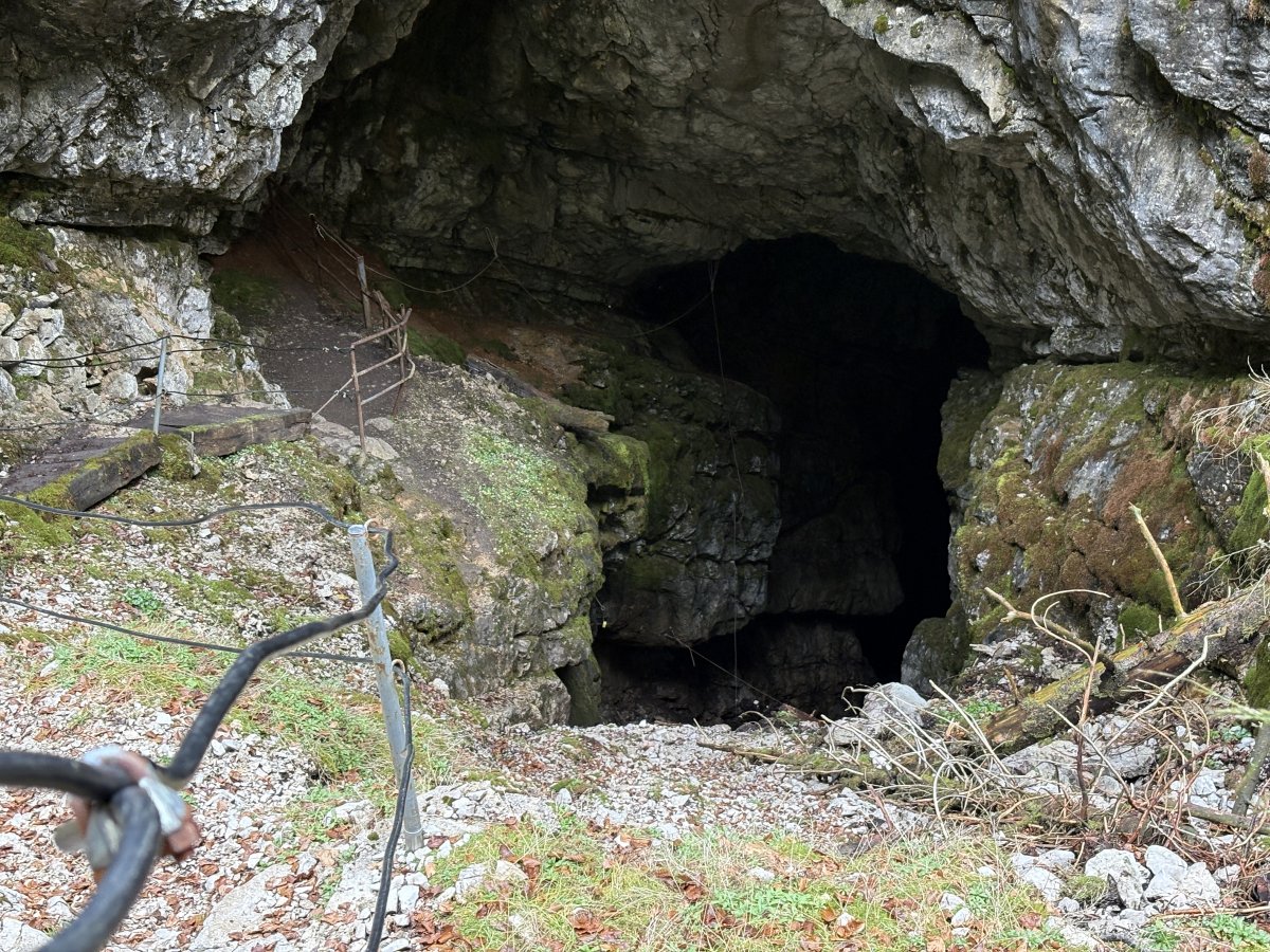 You can see the green undergrowth inside the entrance to the cave.. You can see the green undergrowth inside the entrance to the cave..